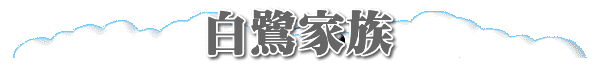 白鷺家族